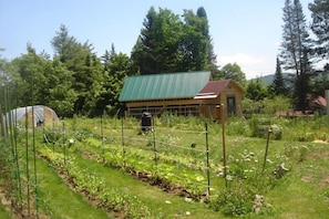 Een landelijke boerderij met een houten huis en een omheind tuingebied.