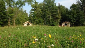Deux cabanes en bois rustiques, entourées d’une forêt luxuriante où poussent de nombreuses variétés de fleurs sauvages.