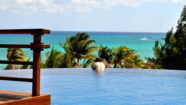 Vista despejada de una piscina con muelle de madera, palmeras y el océano al fondo.