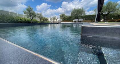 FABBRI-YHTEISÖJEN TUOMIO: Ylellinen huvila rahtu mustalla uima-altaalla ja porealtaalla