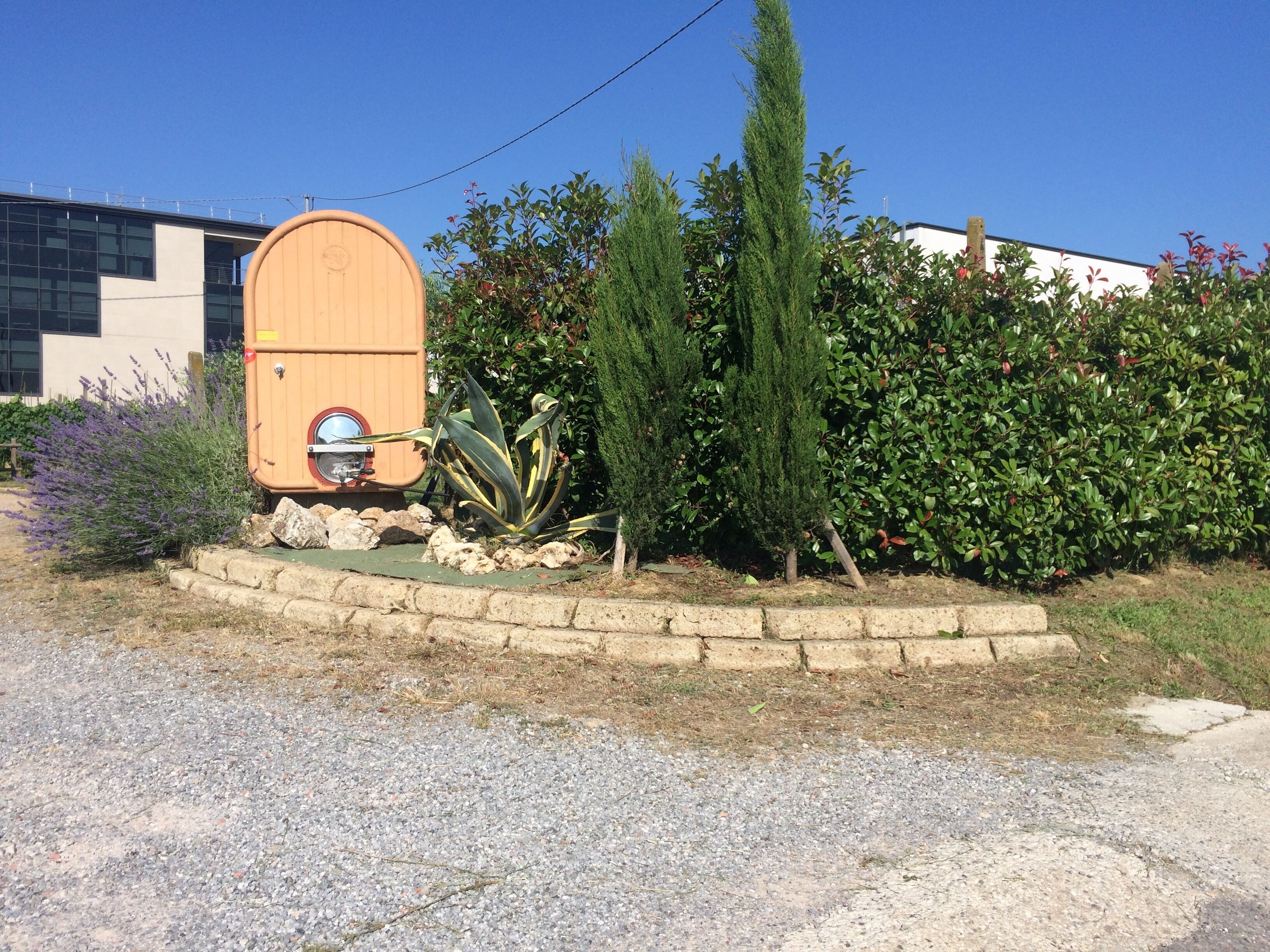 A wooden barrel with a circular emblem, surrounded by a stone border, and a hedge with various shrubs and a tall coniferous tree.