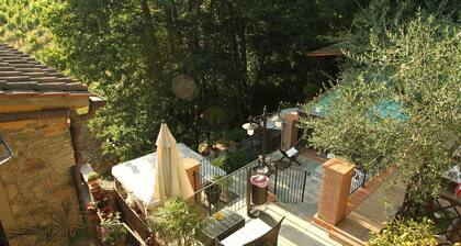 17th century mill between art, nature and yoga