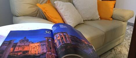 Télévision, livres