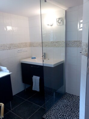 Shower, hair dryer, towels