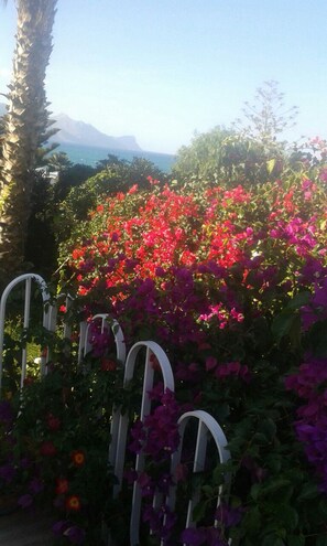 A garden with vibrant pink flowers and a white metal fence.
