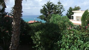 Vista costera con un edificio blanco, palmeras y abundante vegetación.