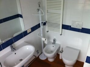 Bathtub, hair dryer, bidet, towels