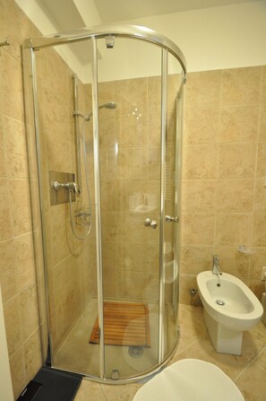 Shower, hair dryer, bidet, towels