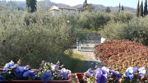 Parco della struttura