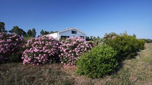 A white house surrounded by lush greenery and pink flowers. - Casa Nerelie S big garden for playing, wi-fi free!!I - IT091063C2000P2044 (Orosei)