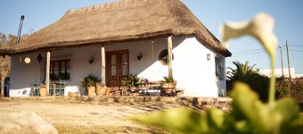 Charming country house in ARBOLADA and quiet area