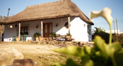 Charming country house in ARBOLADA and quiet area