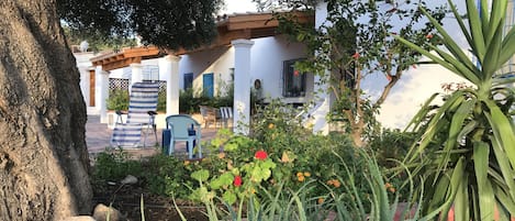 Terraza o patio