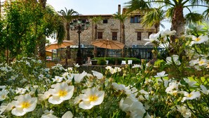 Un pati amb flors blanques, un edifici de pedra i mobiliari exterior amb ombrelles.