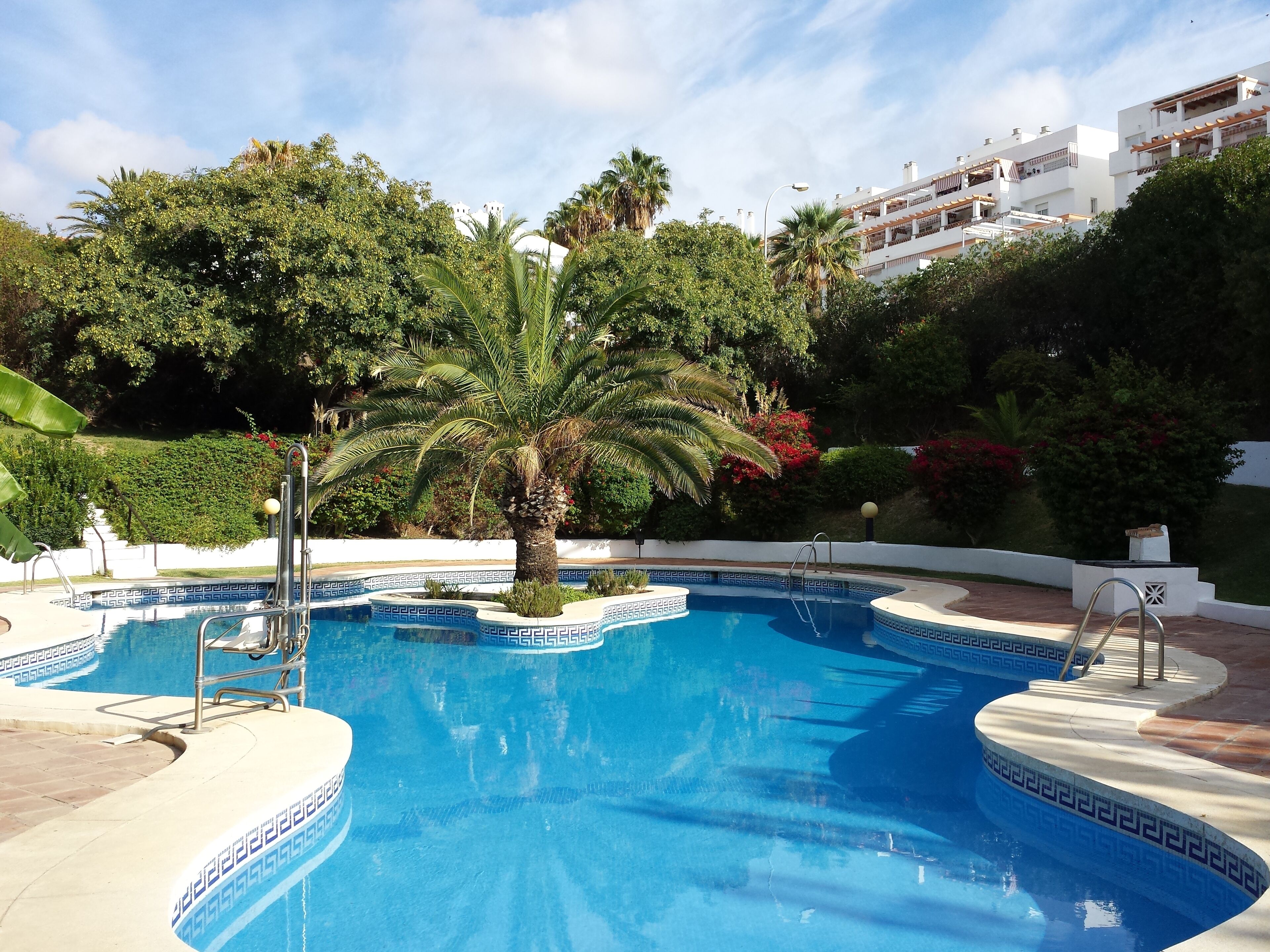A swimming pool with a geometric tile pattern, surrounded by palm trees and lush greenery, with a white building in the background.