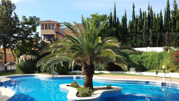 Une piscine dont le carrelage présente un motif géométrique, entourée de palmiers et, au fond, un bâtiment avec un toit recouvert de tuiles.