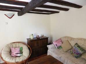 TV, fireplace, DVD player, books