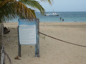 Tæt på stranden