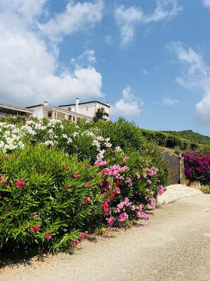 Property grounds - Boutique Luxury Villa With Private Swimming Pool Sea View (Arzachena OT)