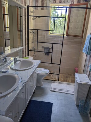 Combined shower/bathtub, hair dryer, towels