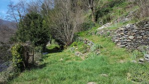 Eine natürliche Landschaft mit Steinmauer, Grasflächen und Bäumen.