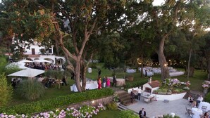 Un espacio para eventos al aire libre con mesas y sillas, rodeado de exuberante follaje y plantas florecientes.