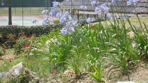 Un court de tennis entouré d’un jardin où poussent différentes plantes et fleurs.