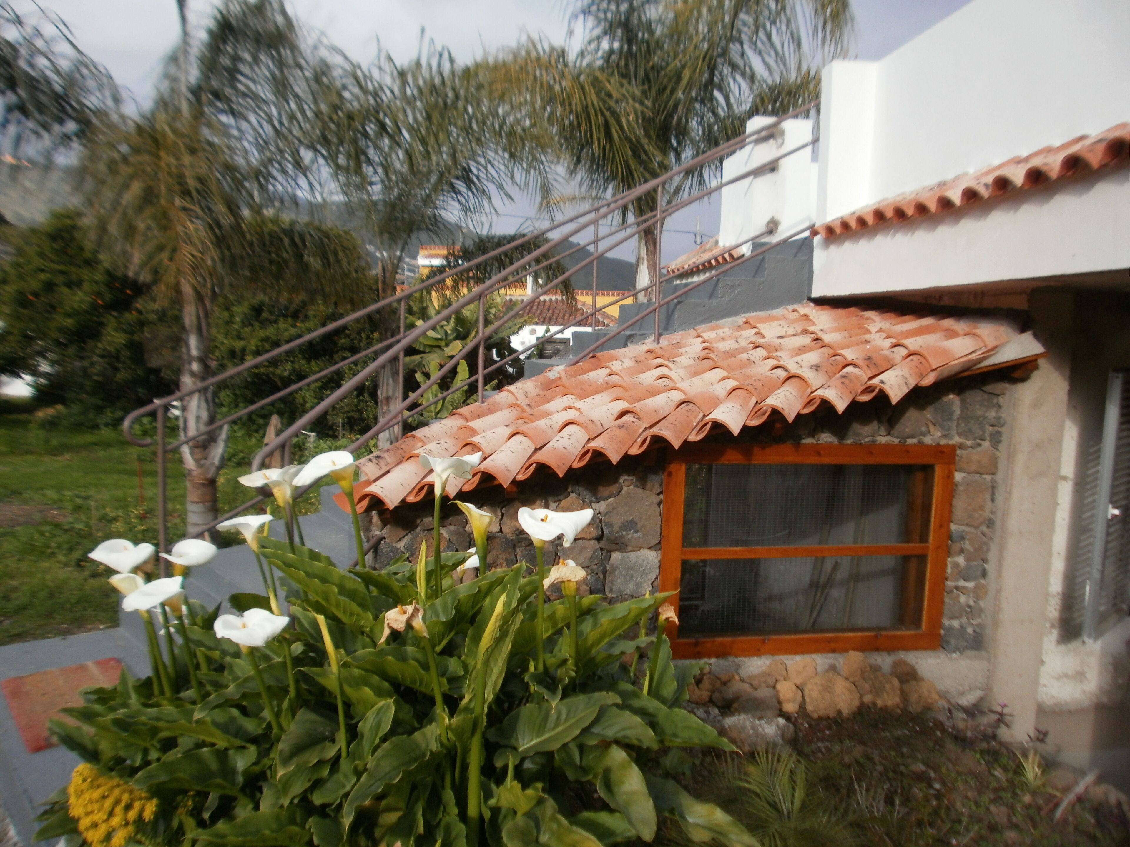 Une maison avec une façade en pierre, un toit en tuiles et une fenêtre avec un cadre en bois.