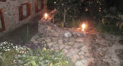 Tradicional canaria Finca en Las Lajas, Icod de los Vinos, 4 personas