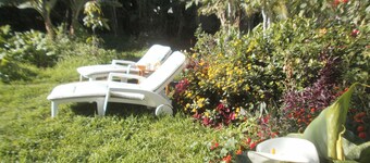 Traditional Canarian Finca in Las Lajas, Icod de los Vinos, 4 persons