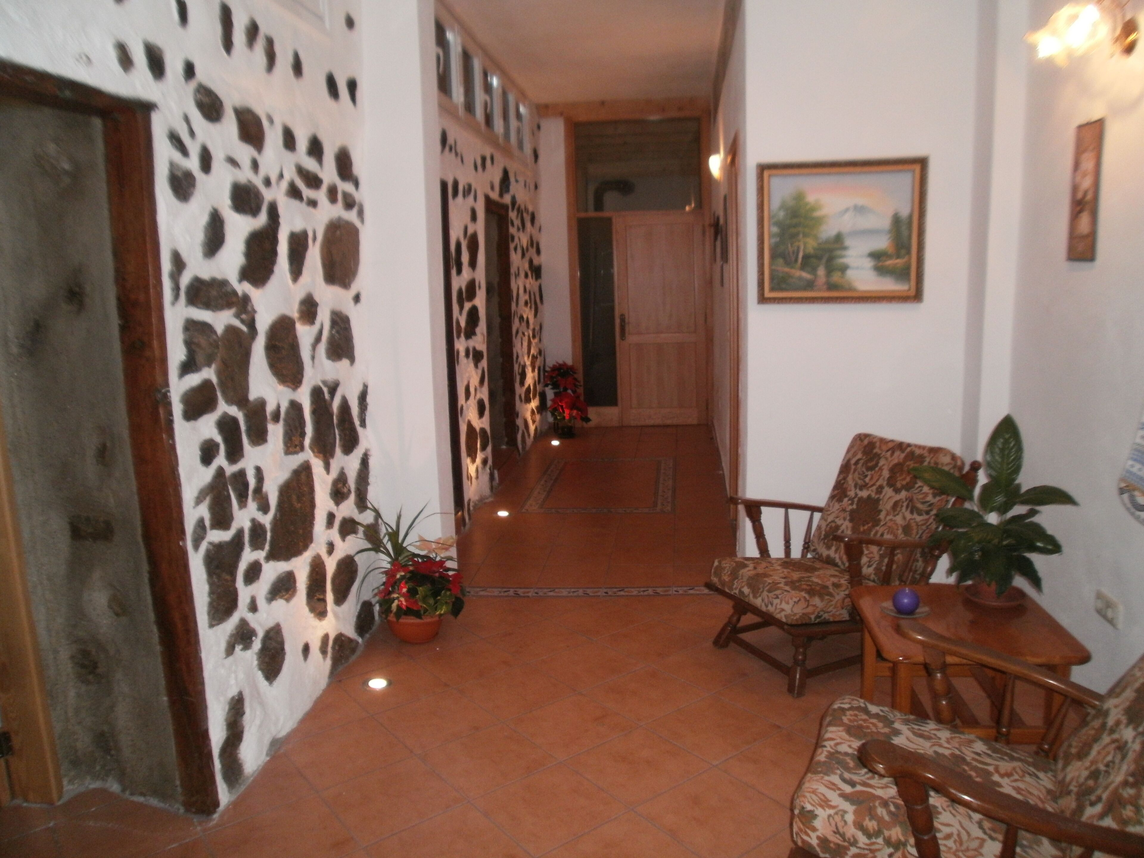 A hallway with a stone wall, a wooden door, a chair, a table, and a potted plant.