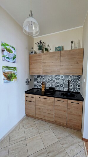 Fridge, microwave, stovetop, coffee/tea maker - Studio in Swinemünde/Beach & Promenade 100 to 150m/Central/30sqm (Swinoujscie)