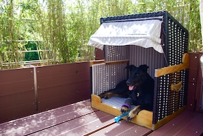Un panier pour chien doté d’un auvent, un chien allongé à l’intérieur, et un jouet bleu sur le sol.