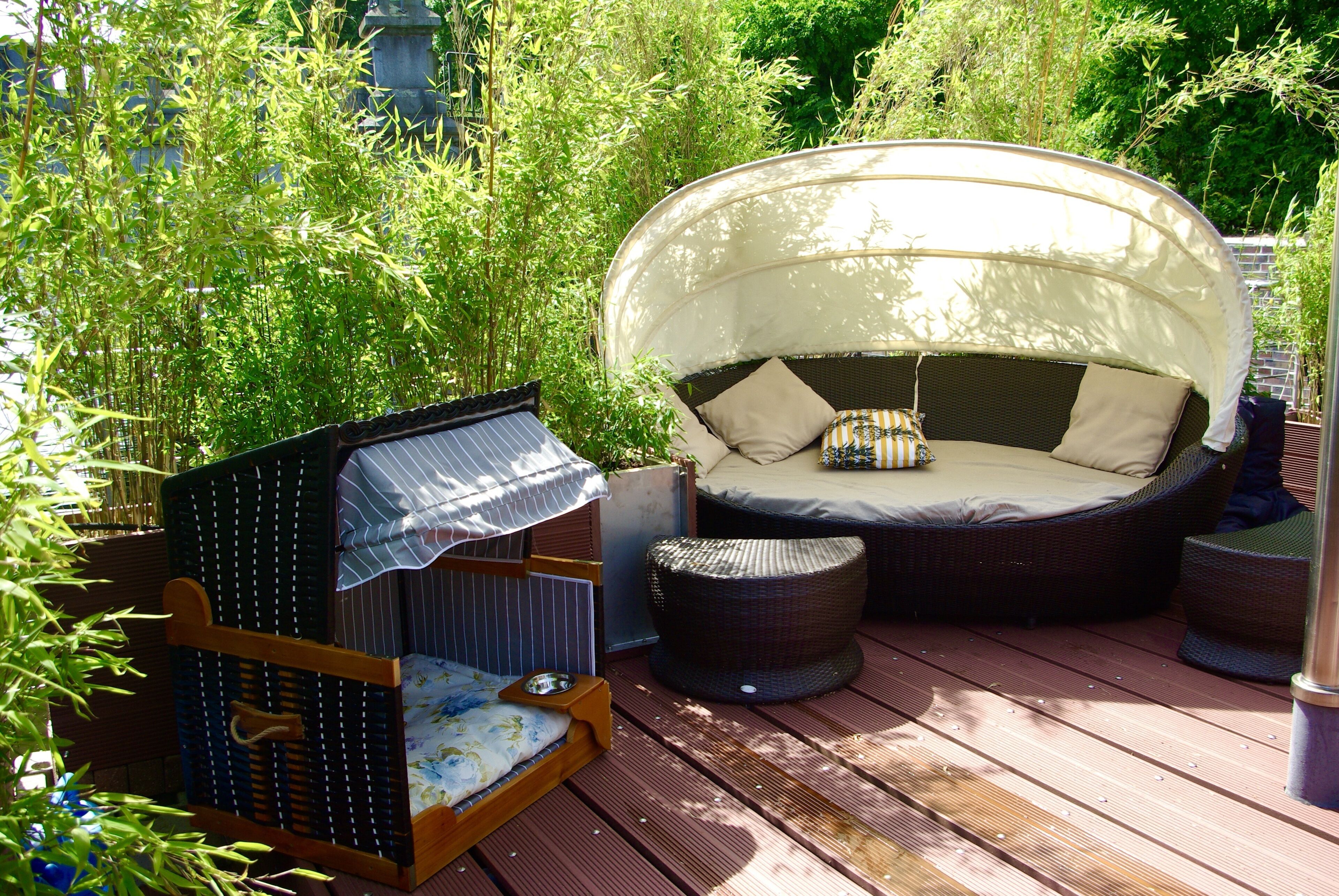 テラス / パティオ