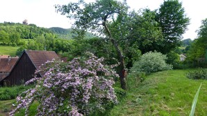 A rural landscape with a large tree, a barn, and a field.