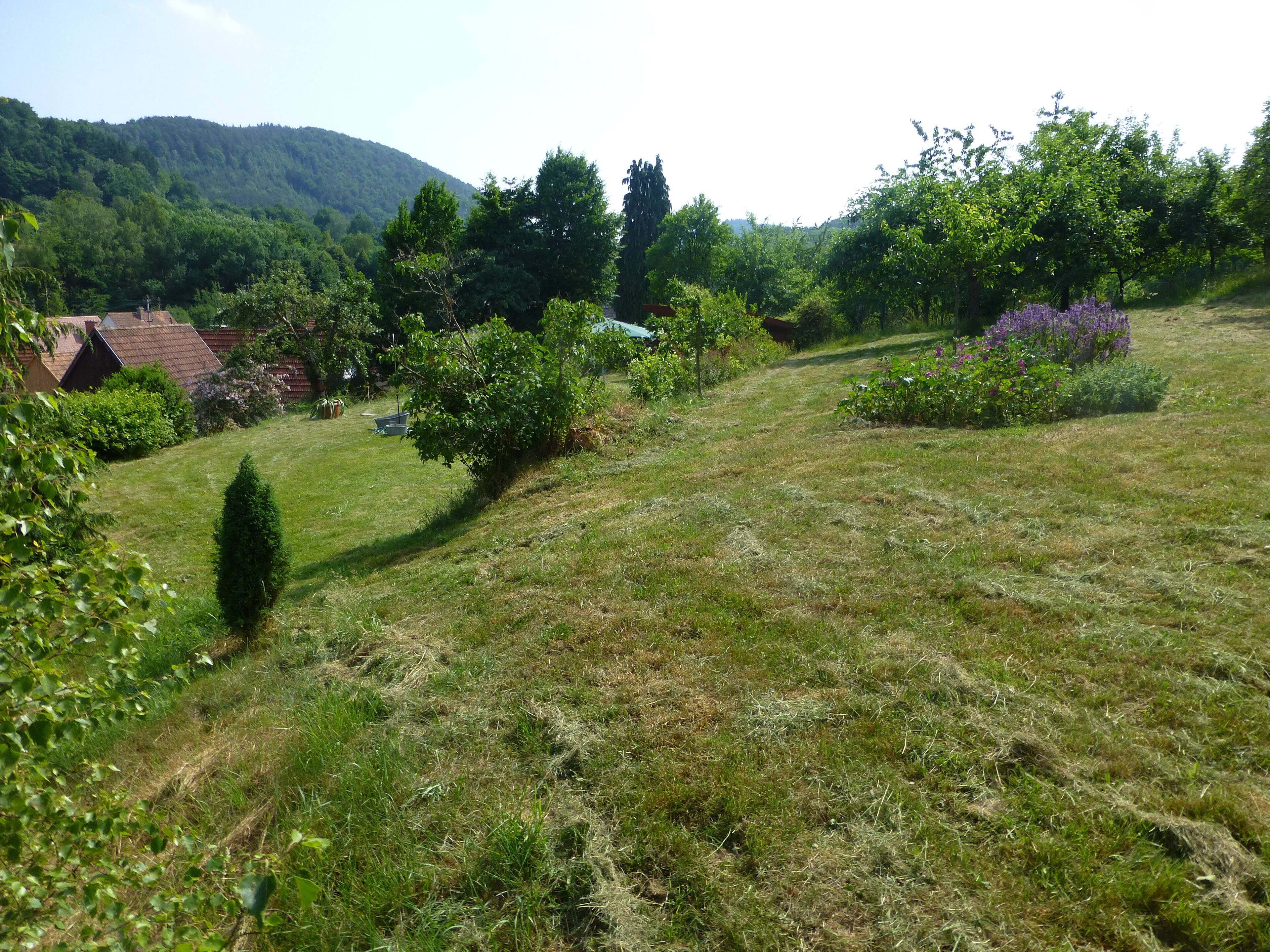 A rural landscape with a house, a hill, and a path.