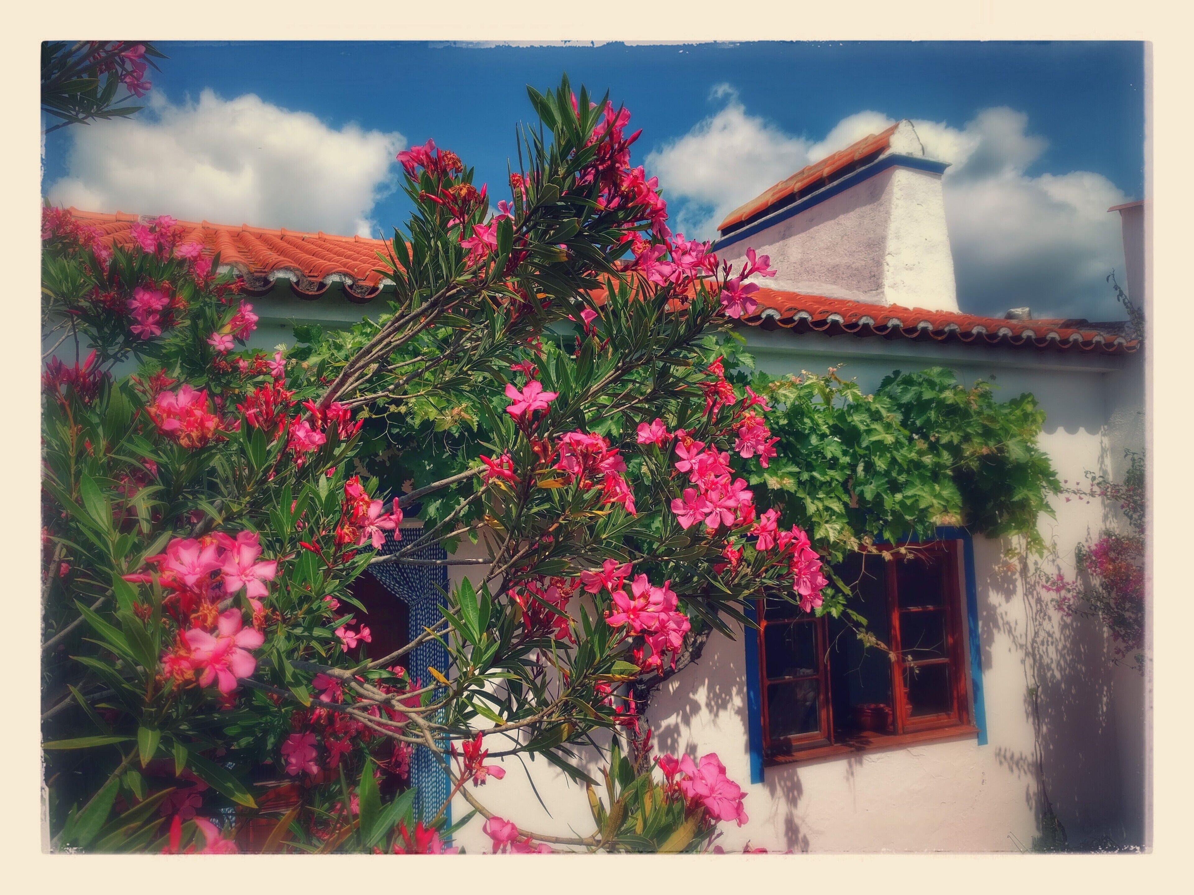 Holiday home in Alentejo