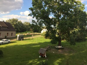 Property grounds - Pferdehof Muhlitz on Rügen, an idyll for individualists (Samtens)