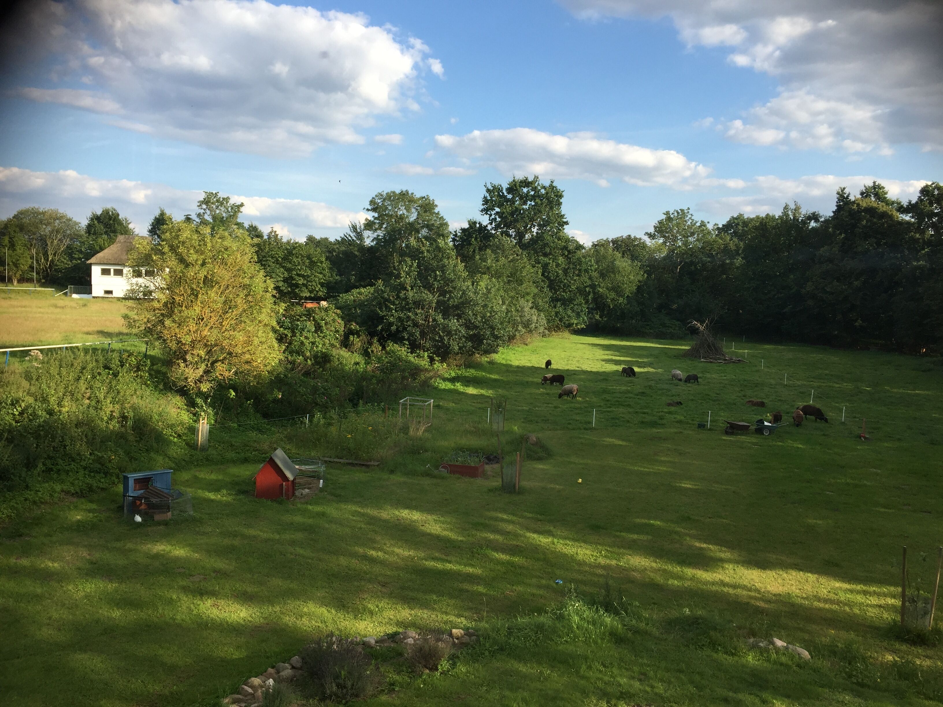 A rural landscape with a grassy field, trees, a house, and a blue and red structure.