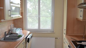 A compact kitchen with a window, a sink, a stove, and cabinets. - Pferdehof Muhlitz on Rügen, an idyll for individualists (Samtens)