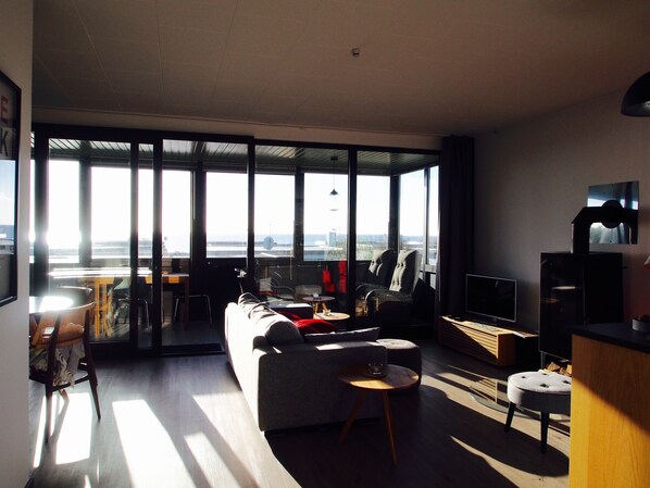 TV, fireplace, DVD player, books