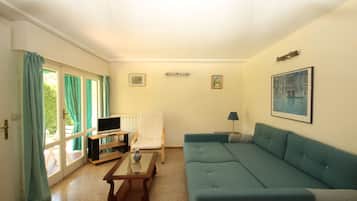 TV, table tennis, books, music library