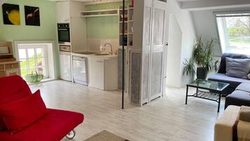 TV, fireplace, DVD player, table tennis