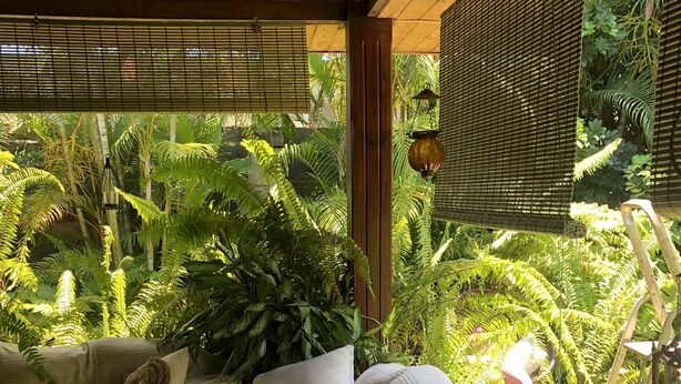 A covered outdoor seating area with a cushioned bench, surrounded by lush tropical plants and a wooden ceiling. - The AZAE chalet, from relaxation to escape, in a green setting (Saint-Louis de la Reunion)