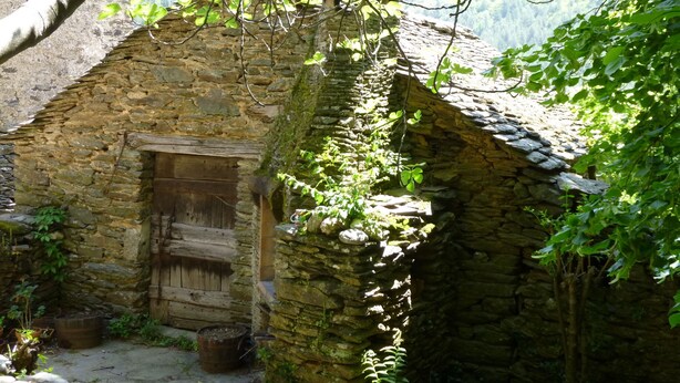 A stone building with a wooden door, surrounded by greenery and trees. - Eco-responsible cottage CASTAGNERE 4* EN CEVENNES: air conditioning, pets welcome (Aujac)