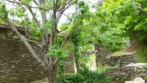 A stone patio with a wooden picnic table surrounded by stone walls and greenery. - Eco-responsible cottage CASTAGNERE 4* EN CEVENNES: air conditioning, pets welcome (Aujac)