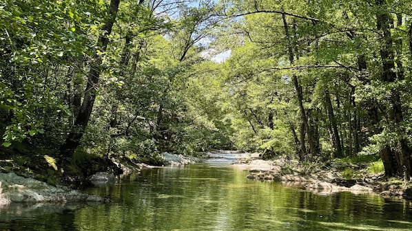 A river flowing through a densely wooded area with trees on both sides.