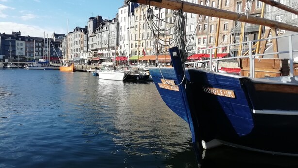 A harbor with boats docked, buildings in the background, and a clear sky. - French Charm.  Charming 40-square-meter apartment.⭐️⭐️⭐️ (Honfleur)