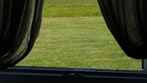 A view through sheer curtains of a grassy field, a small pond, and a forested area.