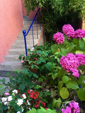 Terrein van de accommodatie